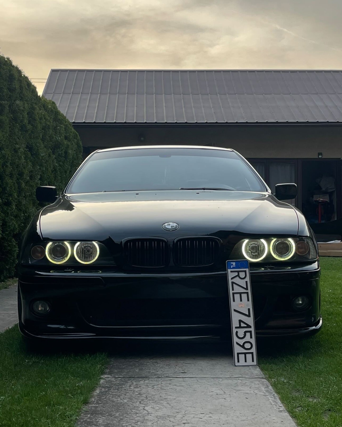 PlateLess Magnetic Holders