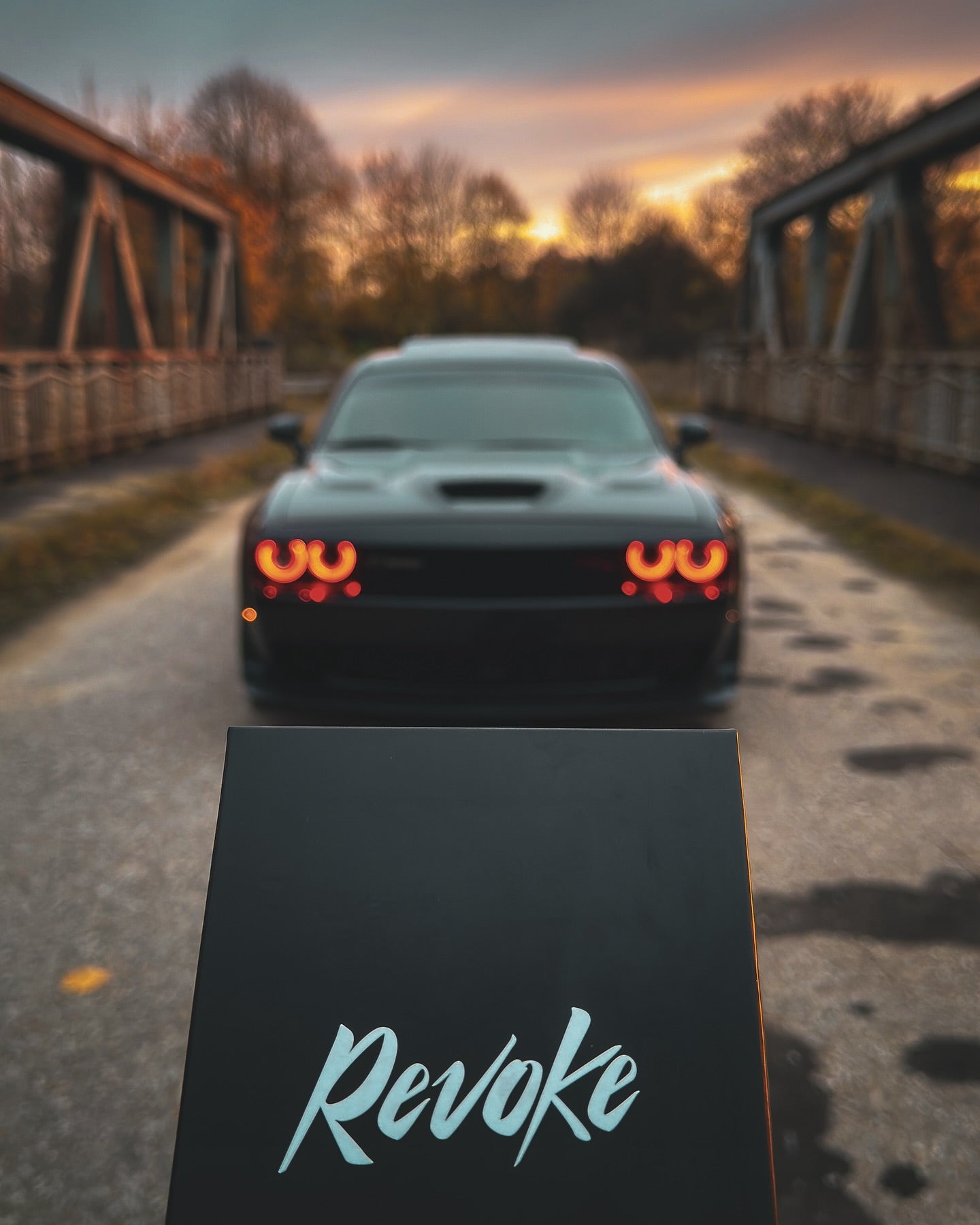 PlateLess Magnetic Holders