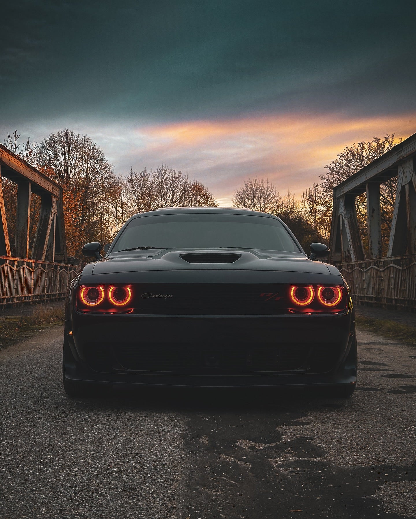 PlateLess Magnetic Holders