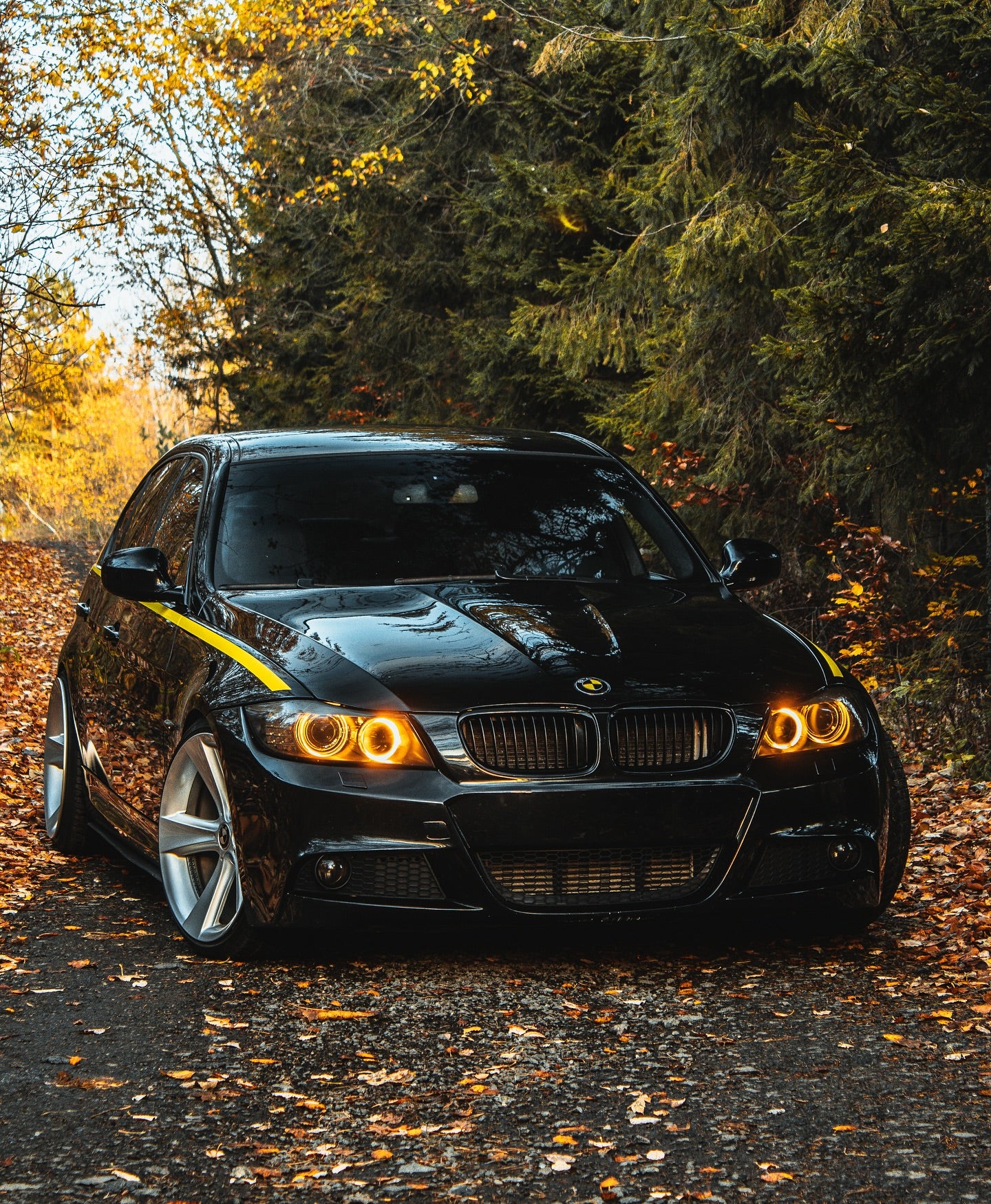 PlateLess Magnetic Holders